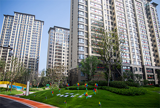 港澳六宝大全2024